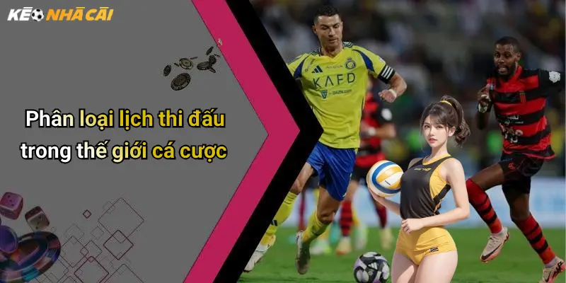Phân loại lịch thi đấu trong thế giới cá cược