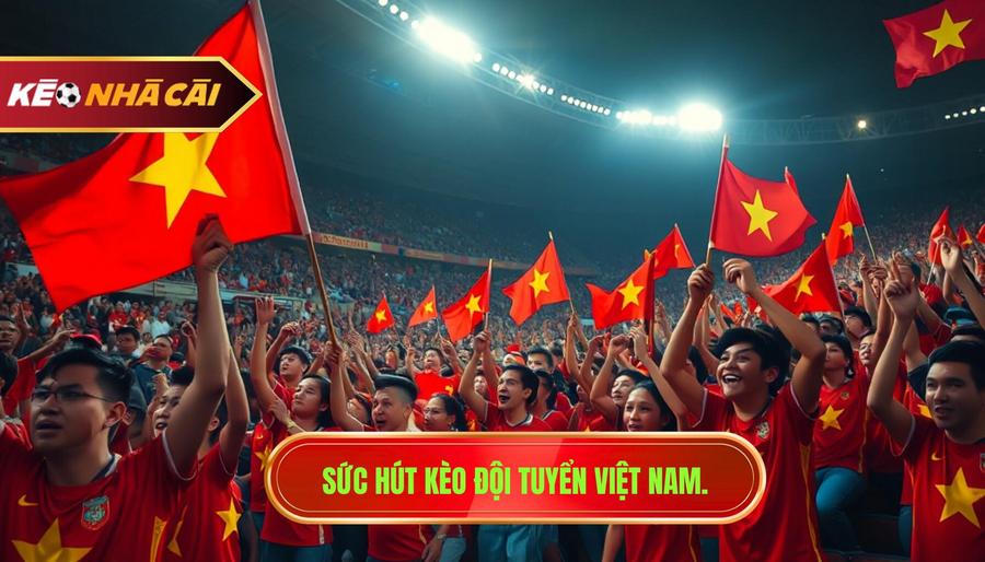 1. Sức hút kèo đội tuyển Việt Nam.